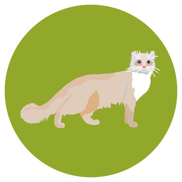 Cats of different breeds. Icons. Vector image in a flat style. Illustration on a round background. Element of design, interface