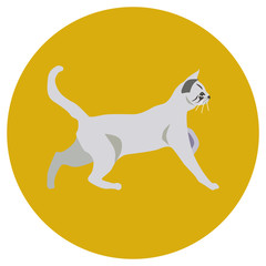 938272 Cats of different breeds. Icons. Vector image in a flat style. Illustration on a round background. Element of design, interface