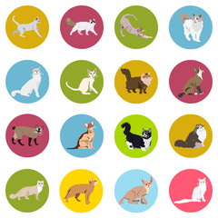 938274 Cats of different breeds. Icons. Vector image in a flat style. Illustration on a round background. Element of design, interface