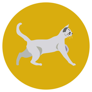 938272 Cats of different breeds. Icons. Vector image in a flat style. Illustration on a round background. Element of design, interface