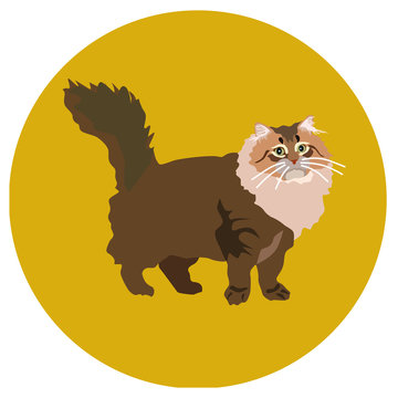 938273 Cats of different breeds. Icons. Vector image in a flat style. Illustration on a round background. Element of design, interface