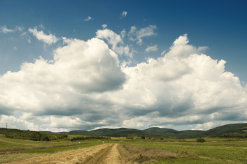 Summer landscape with white fluffy clouds