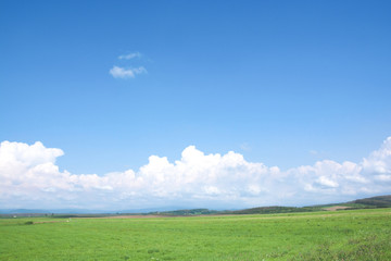 緑の草原と青空