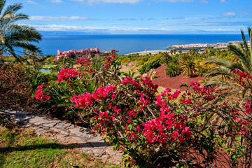 The hotelier area with palm trees and the golf course