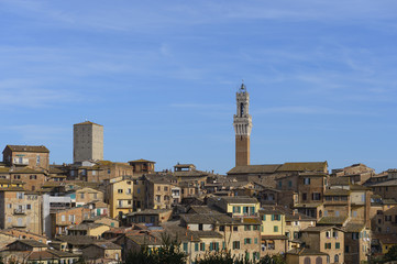 Fototapeta na wymiar i tetti di Siena