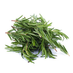 rosemary Herbs and Medicinal herbs. Organic healing herbs. fresh rosemary bunch rosemary isolated on white background
