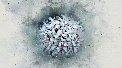 Abstract Flower Blooming on watercolor background,