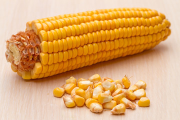 Corn cob and grains
