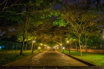 The walk to remember