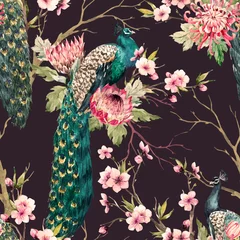 Aquarell Pfau Vektormuster © Zenina-Lembrik