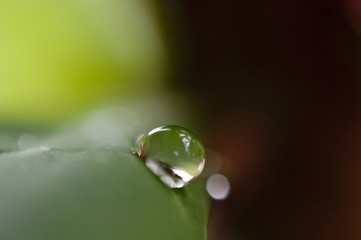 Water drop