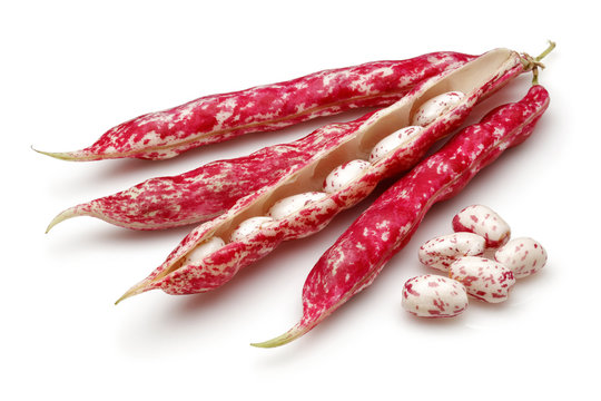 Pinto beans