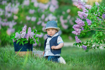 Little boy on the beautiful green lawn with lilac. Image with selective focus