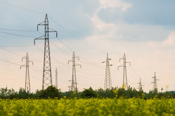 Pylons in a field