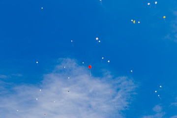 Multicolored balloons fly in the blue sky