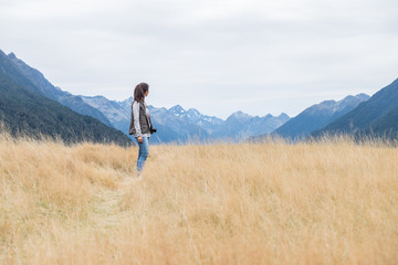 Landscape along Milford Sound highway, Fiordland National Park, New Zealand