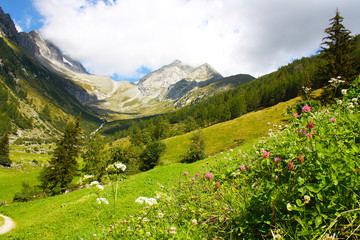 valle aurina 13