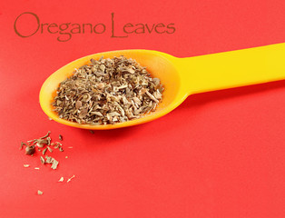 Spoon with oregano minced leaves