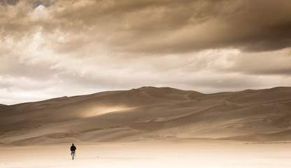 Sand Dune Walker (2231) 10-6-16