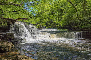 Obraz premium Step Falls At Old Stone State Park In Tennessee