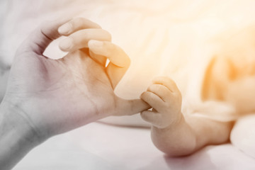 Soft tone of image of Close up a newborn baby's hand clutching his mother fingers.