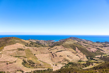 Vignoble de Collioure- Banyuls, vue depuis la côte de Vermeille, Pyrénées- Orientales, Catalogne, Languedoc-Roussillon, France 