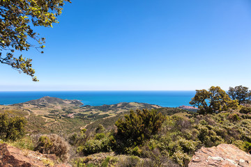 Côte de Vermeille, Pyrénées- Orientales, Catalogne, Languedoc-Roussillon, France 