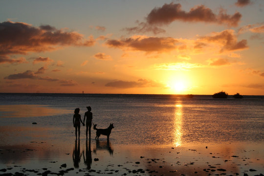 Children and dog at dusk