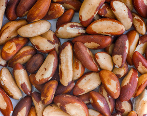 Organic Brazil Nuts