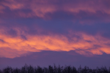 Fototapeta na wymiar Early red sunrise Netherlands.