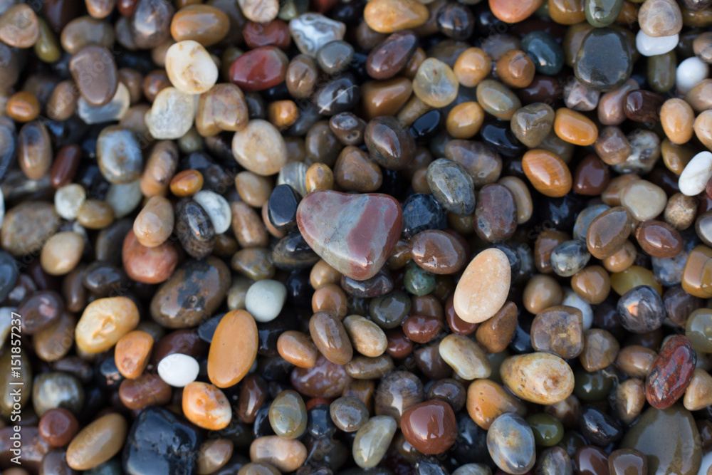 Wall mural Heart stone in pebbles