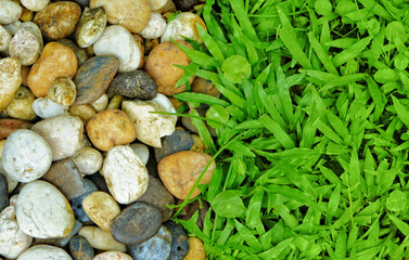 Stones and grass texture background