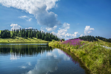 Hintersteinersee mountain lake, summer wellness attraction in Scheffau am Wilden Kaiser, Tirol, Austria