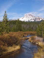 Fototapeta na wymiar Soda Creek winds through the Deschutes National Forest with snowy South Sister on Oregon's Cascade Mountain Range in the background and banks full of bushes and wild grasses on a sunny fall day.