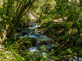 Fototapeta na wymiar A secluded creek flowing wildly in the Swiss Alps