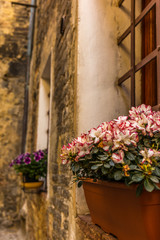 Fototapeta na wymiar Adorned windoes in the medieval streets of San Gimignano in Tuscany - 3