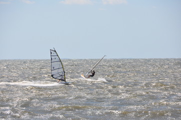 Dueling Windsurfers