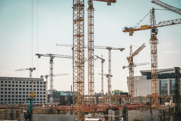 many cranes and construction workers on  construction site