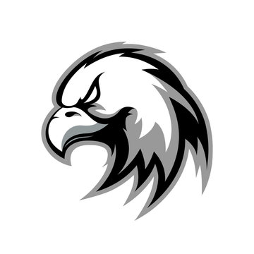 Furious eagle sport vector logo concept isolated on white background.