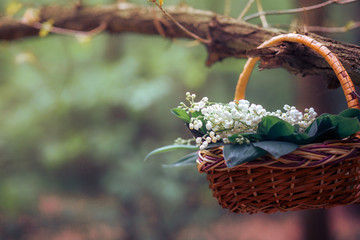 Fototapeta na wymiar Basket with lilies of the valley on the branch