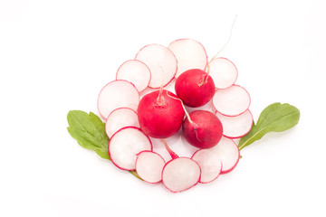 Fresh radish isolated