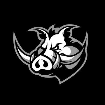 Furious boar head sport club vector logo concept isolated on black background