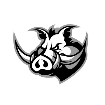 Furious boar head sport club vector logo concept isolated on white background.