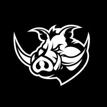 Furious boar head sport club vector logo concept isolated on black background.