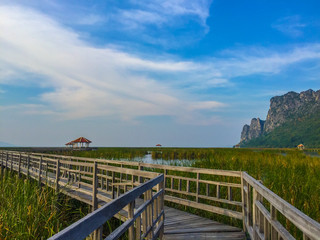 Obraz premium Beautiful landscape with wooden bridge, fields and mountains, Bueng Bua at Sam Roi Yot National Park, Prachuap Khiri Khan Thailand