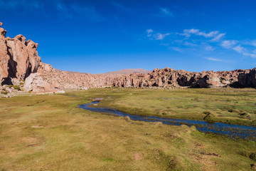 Landscape around Laguna Negra lake in Bolivia