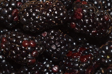 fruit
