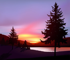 Northern lights in wild terrain with lake (river) and pine forest.