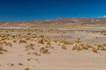 Dry high altitude landscape of the Altiplano in Bolivia