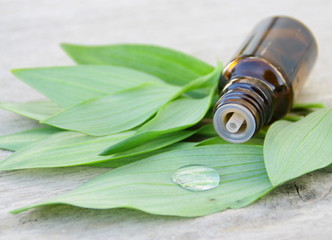 huile essentielle végétal,bio